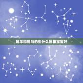 属羊和属马的生什么属相宝宝好，男属羊女属猴生什么属相的孩子好