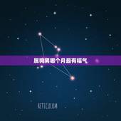 属狗男哪个月最有福气，属狗的行嫁月是几月