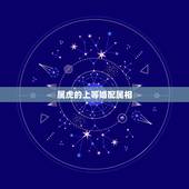 属虎的上等婚配属相，十二生肖虎的更佳配对