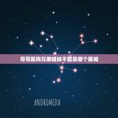 哥哥属狗兄弟姐妹不能是哪个属相，属狗的哥哥适合有属啥的弟弟妹妹