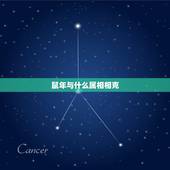 鼠年与什么属相相克，93鸡男和96鼠的姻缘