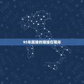 95年属猪的姻缘在哪年，95属猪姻缘何时到