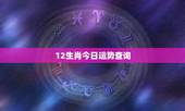 12生肖今日运势查询，2022 年每日运势播报