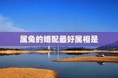 属兔的婚配最好属相是，属相婚配：男属蛇和女属兔相配吗