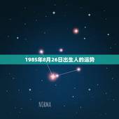 1985年8月26日出生人的运势，本命年运势的问题，请大师解答（我是农
