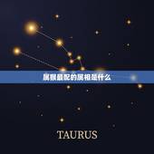 属猴最配的属相是什么，属猴的男人和什么属相最配