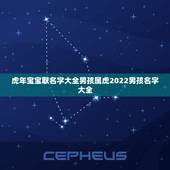 虎年宝宝取名字大全男孩属虎2022男孩名字大全
