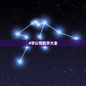 4字公司名字大全 必过，公司名字大全必过