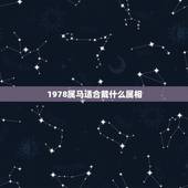 1978属马适合戴什么属相，属马的人配带什么生肖好