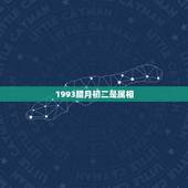 1993腊月初二是属相，我是1995年腊月初二出生的，我的属相是猪。请