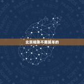 北京相亲不要属羊的，北京大龄剩女有多少