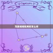 同属相婚配两蛇怎么样，蛇和什么生肖最配？属蛇的属相婚配表大全