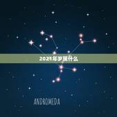 2021年岁属什么，2021年23岁属什么？