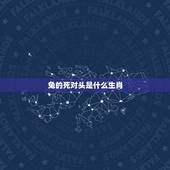 兔的死对头是什么生肖，属兔最忌讳几月出生