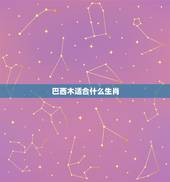 巴西木适合什么生肖，属狗的能养巴西木吗