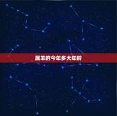 属羊的今年多大年龄，属羊是哪一年的，今年多大？