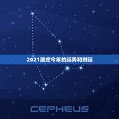 2021属虎今年的运势和财运，属虎的47岁2021年家庭幸福吗？