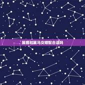 属猴和属马女婚配合适吗，属猴与属马婚配好不好