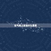 生气婚上吉是什么意思，“上等婚，中等婚，天衣婚姻”是什么意思啊？