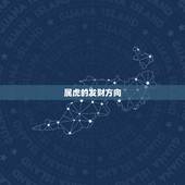 属虎的发财方向，属虎2022 年在西北方