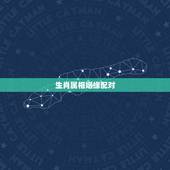 生肖属相姻缘配对，12生肖配对姻缘