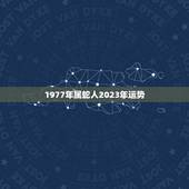 1977年属蛇人2023年运势，1977年蛇女出生正月十六2023年运