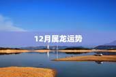 12月属龙运势，十二月属龙的运气好吗