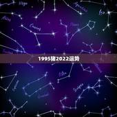 1995猪2022运势，1995年闰八月二十三属猪2021年运势？