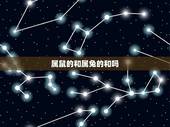 属鼠的和属兔的和吗，84男属鼠和87女兔相配