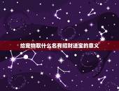 给宠物取什么名有招财进宝的意义，给爱狗取个名字，带财运的