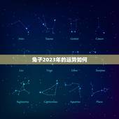 兔子2023年的运势如何，1987年的兔子在2022 年运势如何