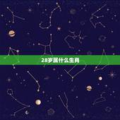 28岁属什么生肖，二十八岁属什么生肖