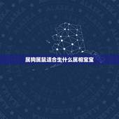 属狗属鼠适合生什么属相宝宝，属鼠的和什么属相最配