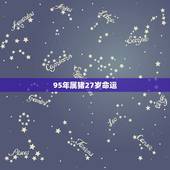 95年属猪27岁命运，1995年是什么命？1995年出生的属猪人的命运