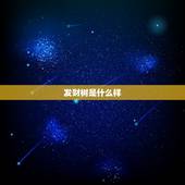 发财树是什么样，发财树的茎长什么样的介绍？