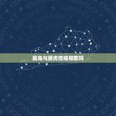 属兔与属虎结婚相配吗，属兔和属虎的婚配好不好