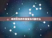 未时出生的牛宝宝五行缺什么，未时五行属什么