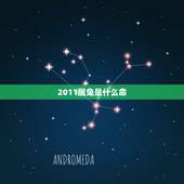 2011属兔是什么命，2011年属兔男一生运程