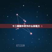 十二属相中虎为什么排第三，十二生肖里老虎排第几？