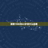 属猴1980年42岁是什么劫难，属猴的2022年有牢狱之灾吗