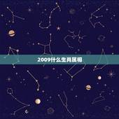 2009什么生肖属相，2009年，生肖属什么？