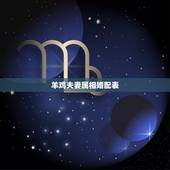 羊鸡夫妻属相婚配表，属相婚配鸡和羊