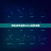 鸡在虎年运势2022运势详解 1993年属鸡女在2022年的全年运势