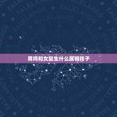 男鸡和女鼠生什么属相孩子，男 属鸡阴历十月初一 女属鼠 阴历十二月十六