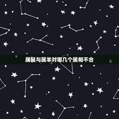 属鼠与属羊对哪几个属相不合，属鼠的和属羊的配吗