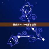 属虎的2022年全年运势，属虎的人2023全年运势及运程 属虎2023