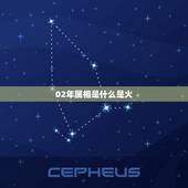 02年属相是什么是火，2002年金木水火土是什么命