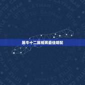 属牛十二属相男最佳婚配，男属牛85年最佳配偶属相应该属什么