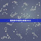 属羊的今年多大岁数2022，属牛的年龄表