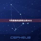 今年属兔的运势怎么样2022，属兔今年运势查询